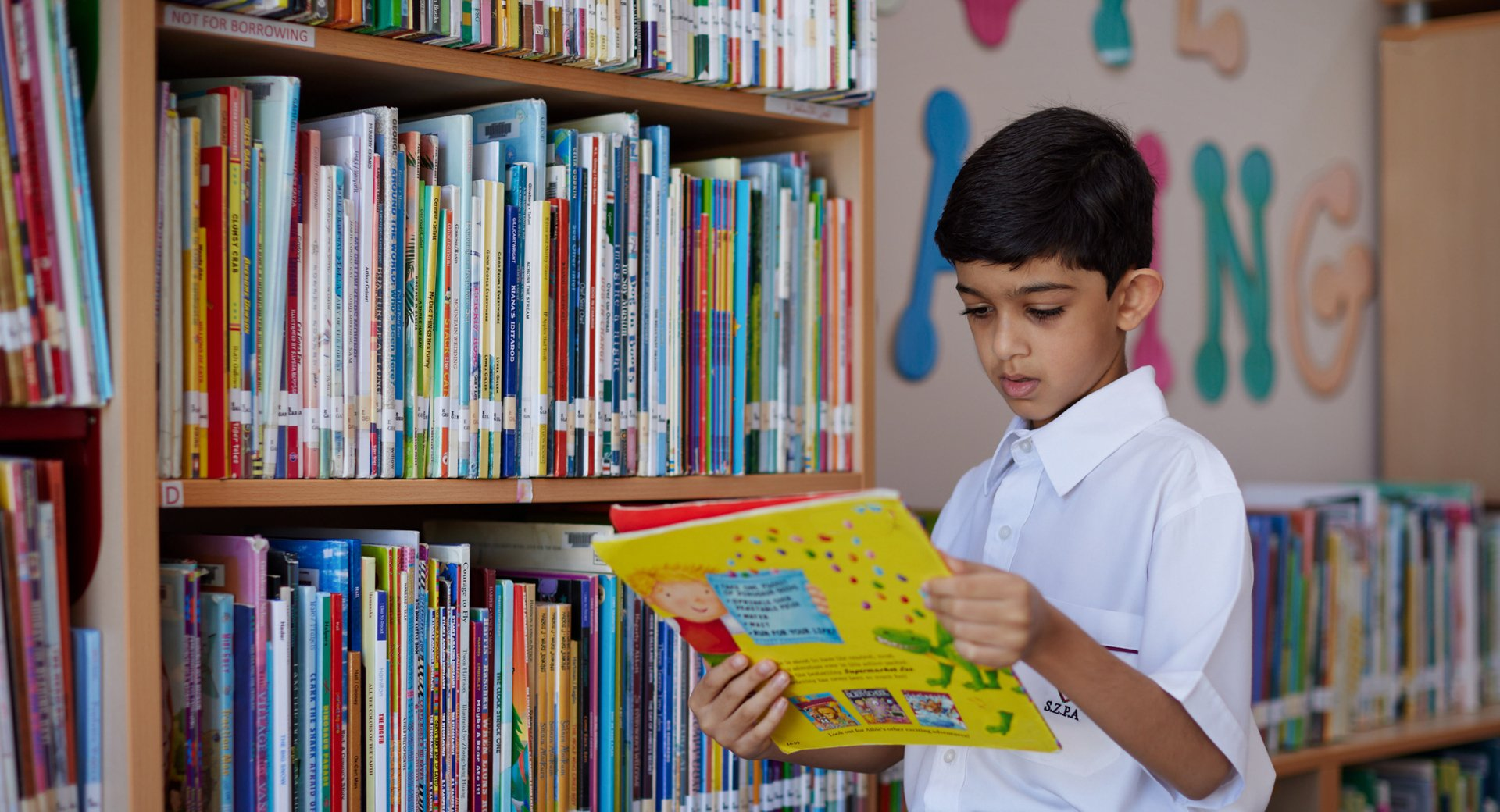 الحقائق الرئيسية